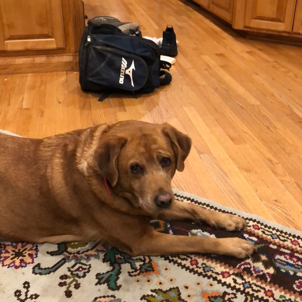 Meet your Posher, Cindy